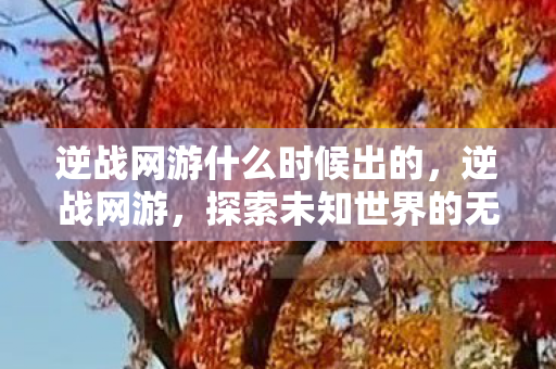 逆战网游什么时候出的，逆战网游，探索未知世界的无尽挑战