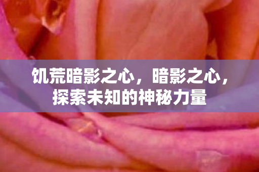 饥荒暗影之心，暗影之心，探索未知的神秘力量