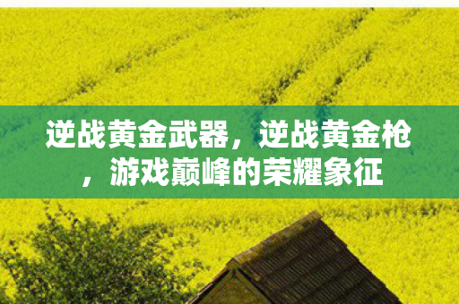 逆战黄金武器，逆战黄金枪，游戏巅峰的荣耀象征