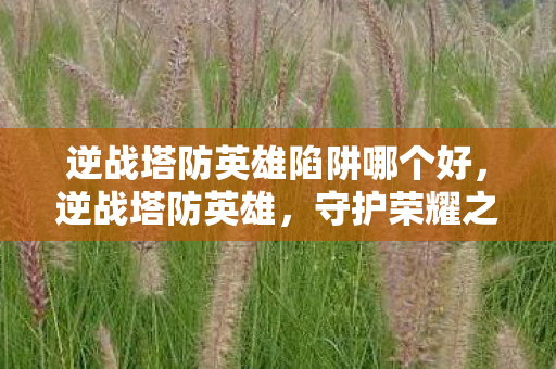 逆战塔防英雄陷阱哪个好，逆战塔防英雄，守护荣耀之战的勇者传奇