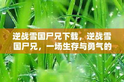 逆战雪国尸兄下载，逆战雪国尸兄，一场生存与勇气的较量