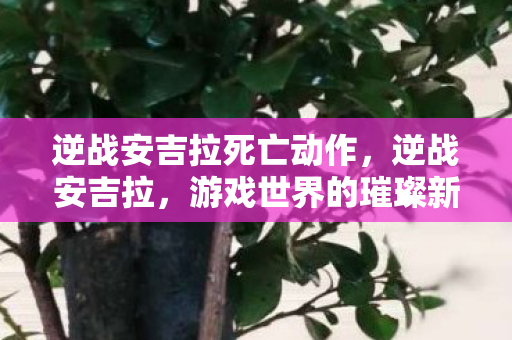 逆战安吉拉死亡动作,逆战安吉拉,游戏世界的璀璨新星 逆战安吉拉死亡动作,逆战安吉拉,游戏世界的璀璨新星