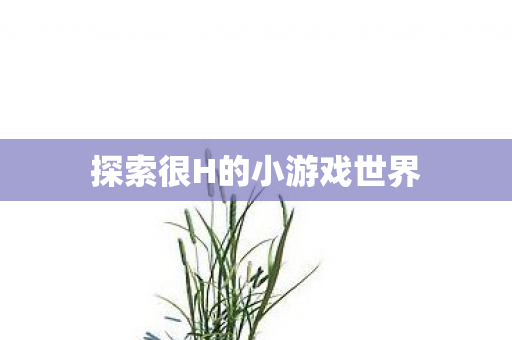 探索很H的小游戏世界 探索很H的小游戏世界