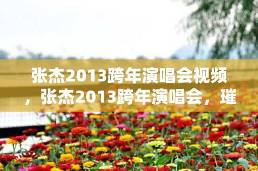 张杰2013跨年演唱会视频，张杰2013跨年演唱会，璀璨之夜，歌声与激情的碰撞