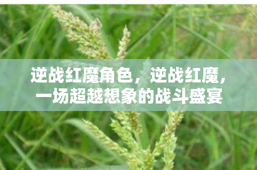 逆战红魔角色，逆战红魔，一场超越想象的战斗盛宴