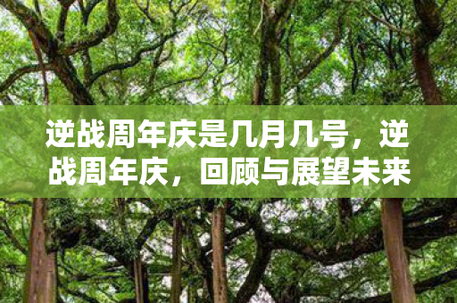 逆战周年庆是几月几号,逆战周年庆,回顾与展望未来 逆战周年庆是几月几号,逆战周年庆,回顾与展望未来