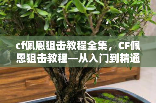 cf佩恩狙击教程全集，CF佩恩狙击教程—从入门到精通