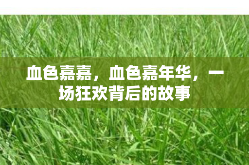 血色嘉嘉，血色嘉年华，一场狂欢背后的故事