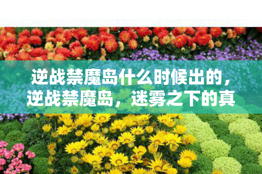 逆战禁魔岛什么时候出的，逆战禁魔岛，迷雾之下的真相探索