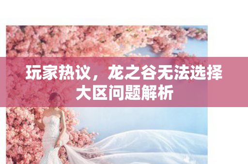 玩家热议，龙之谷无法选择大区问题解析
