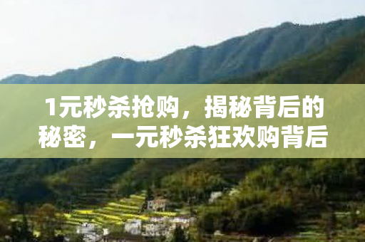1元秒杀抢购，揭秘背后的秘密，一元秒杀狂欢购背后的真相与策略
