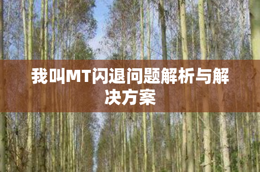 我叫MT闪退问题解析与解决方案