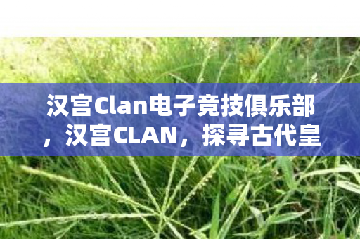 汉宫Clan电子竞技俱乐部,汉宫CLAN,探寻古代皇宫中的神秘力量与传奇故事 汉宫Clan电子竞技俱乐部,汉宫CLAN,探寻古代皇宫中的神秘力量与传奇故事