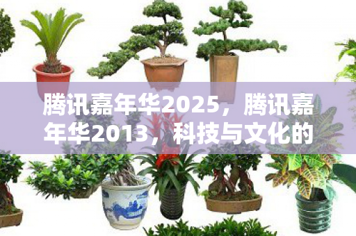 腾讯嘉年华2025，腾讯嘉年华2013，科技与文化的盛宴