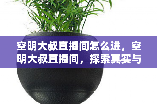 空明大叔直播间怎么进，空明大叔直播间，探索真实与虚拟的交汇点