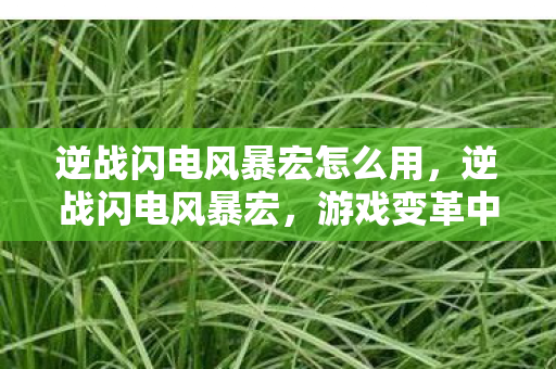 逆战闪电风暴宏怎么用,逆战闪电风暴宏,游戏变革中的新力量 逆战闪电风暴宏怎么用,逆战闪电风暴宏,游戏变革中的新力量