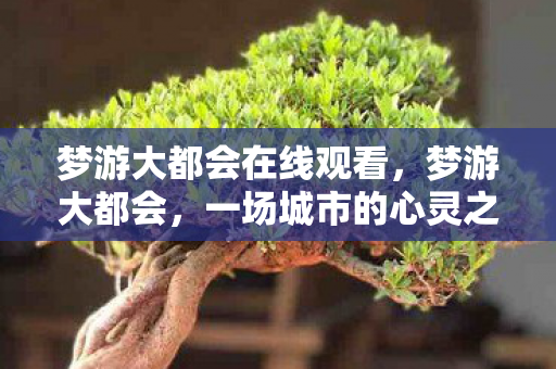 梦游大都会在线观看,梦游大都会,一场城市的心灵之旅 梦游大都会在线观看,梦游大都会,一场城市的心灵之旅