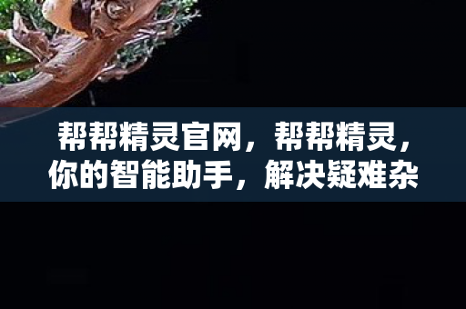 帮帮精灵官网，帮帮精灵，你的智能助手，解决疑难杂症的得力干将