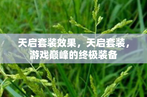 天启套装效果，天启套装，游戏巅峰的终极装备