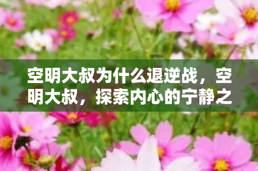 空明大叔为什么退逆战，空明大叔，探索内心的宁静之旅