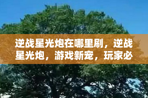 逆战星光炮在哪里刷，逆战星光炮，游戏新宠，玩家必备神器