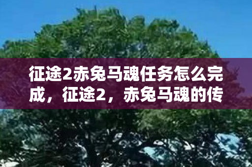 征途2赤兔马魂任务怎么完成，征途2，赤兔马魂的传奇之旅