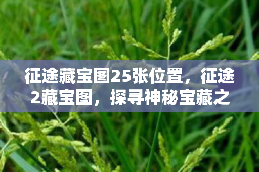 征途藏宝图25张位置,征途2藏宝图,探寻神秘宝藏之旅 征途藏宝图25张位置,征途2藏宝图,探寻神秘宝藏之旅