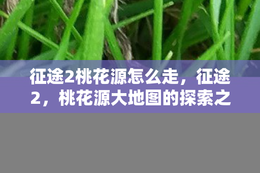 征途2桃花源怎么走,征途2,桃花源大地图的探索之旅 征途2桃花源怎么走,征途2,桃花源大地图的探索之旅