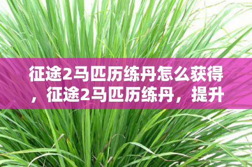 征途2马匹历练丹怎么获得,征途2马匹历练丹,提升战力,驰骋疆场的必备良药 征途2马匹历练丹怎么获得,征途2马匹历练丹,提升战力,驰骋疆场的必备良药