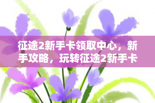 征途2新手卡领取中心，新手攻略，玩转征途2新手卡，轻松启程游戏之旅