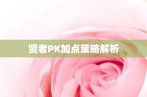 贤者PK加点策略解析