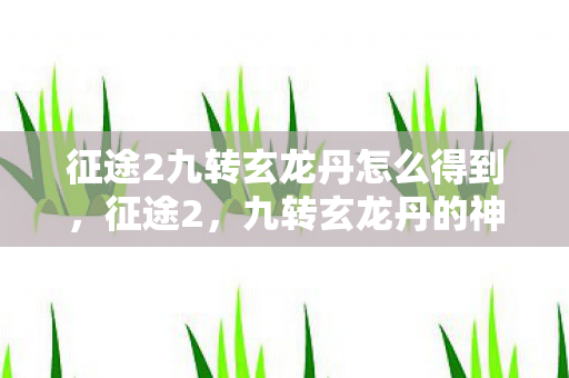 征途2九转玄龙丹怎么得到,征途2,九转玄龙丹的神秘传说与探索之旅 征途2九转玄龙丹怎么得到,征途2,九转玄龙丹的神秘传说与探索之旅