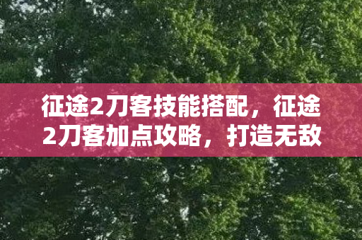 征途2刀客技能搭配，征途2刀客加点攻略，打造无敌战力