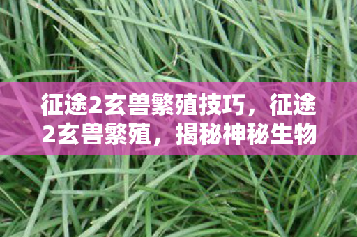 征途2玄兽繁殖技巧,征途2玄兽繁殖,揭秘神秘生物诞生之旅 征途2玄兽繁殖技巧,征途2玄兽繁殖,揭秘神秘生物诞生之旅