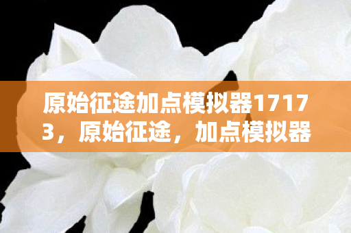 原始征途加点模拟器17173，原始征途，加点模拟器攻略与解析