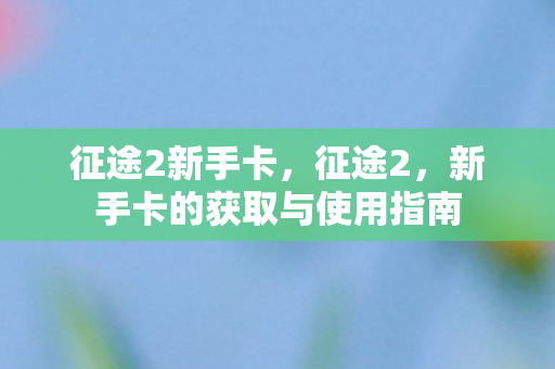 征途2新手卡，征途2，新手卡的获取与使用指南