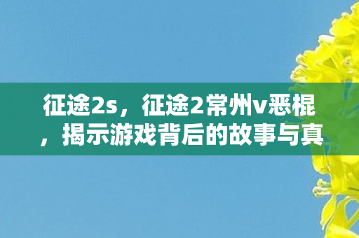 征途2s,征途2常州v恶棍,揭示游戏背后的故事与真相 征途2s,征途2常州v恶棍,揭示游戏背后的故事与真相