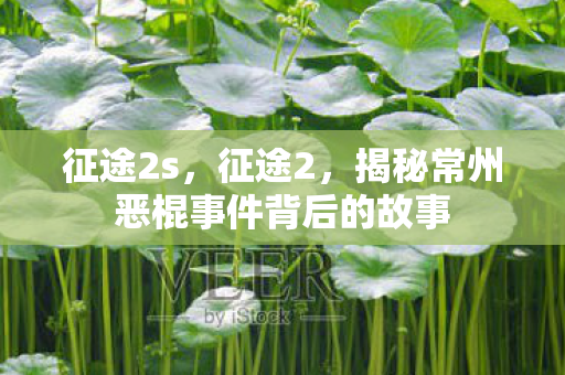 征途2s,征途2,揭秘常州恶棍事件背后的故事 征途2s,征途2,揭秘常州恶棍事件背后的故事