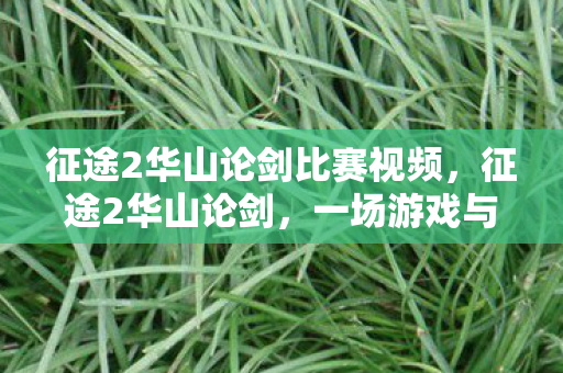 征途2华山论剑比赛视频,征途2华山论剑,一场游戏与武侠文化的深度交融 征途2华山论剑比赛视频,征途2华山论剑,一场游戏与武侠文化的深度交融