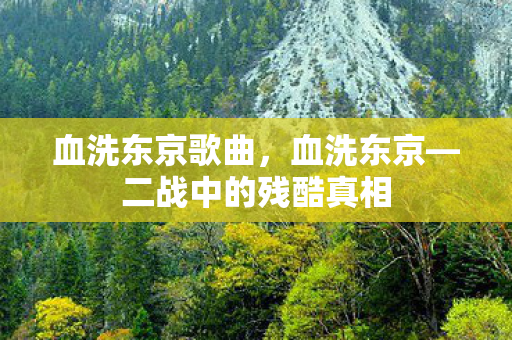 血洗东京歌曲，血洗东京—二战中的残酷真相
