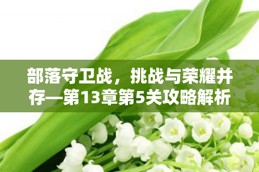 部落守卫战，挑战与荣耀并存—第13章第5关攻略解析