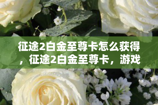 征途2白金至尊卡怎么获得,征途2白金至尊卡,游戏内的尊贵身份象征 征途2白金至尊卡怎么获得,征途2白金至尊卡,游戏内的尊贵身份象征