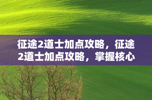 征途2道士加点攻略,征途2道士加点攻略,掌握核心技能,轻松提升角色实力 征途2道士加点攻略,征途2道士加点攻略,掌握核心技能,轻松提升角色实力