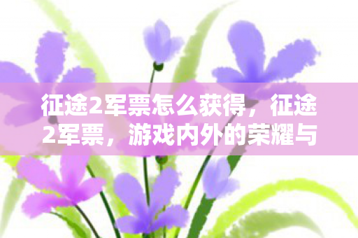 征途2军票怎么获得,征途2军票,游戏内外的荣耀与梦想 征途2军票怎么获得,征途2军票,游戏内外的荣耀与梦想