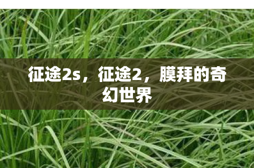 征途2s，征途2，膜拜的奇幻世界