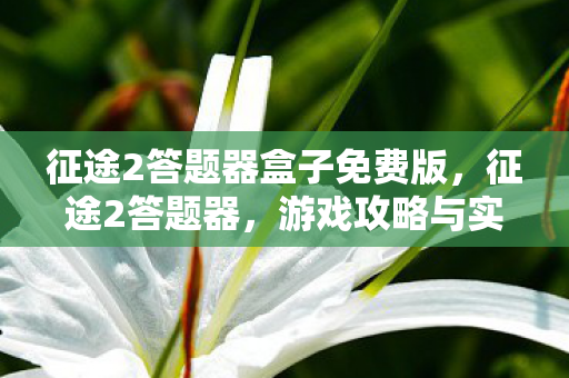 征途2答题器盒子免费版，征途2答题器，游戏攻略与实用工具
