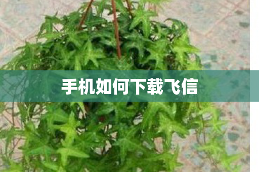 手机如何下载飞信