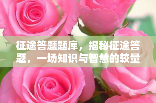 征途答题题库,揭秘征途答题,一场知识与智慧的较量 征途答题题库,揭秘征途答题,一场知识与智慧的较量