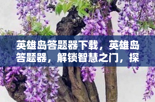 英雄岛答题器下载,英雄岛答题器,解锁智慧之门,探寻知识宝藏 英雄岛答题器下载,英雄岛答题器,解锁智慧之门,探寻知识宝藏