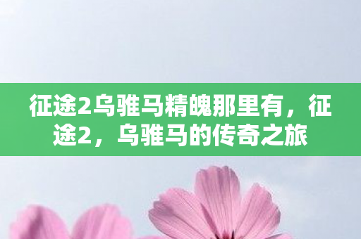 征途2乌骓马精魄那里有,征途2,乌骓马的传奇之旅 征途2乌骓马精魄那里有,征途2,乌骓马的传奇之旅